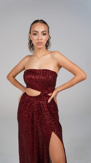 Crimson Dress